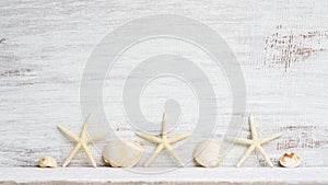 Sea shells and starfish on grunge white wooden background. Abstract background concept for Summer time holiday vacation. Abstract