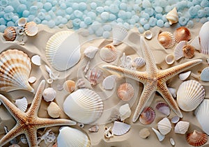a mixture of shells and starfish on the beach
