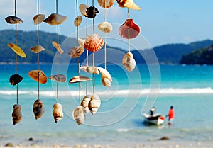 Sea Shells Summer Vacation Leisure Concept