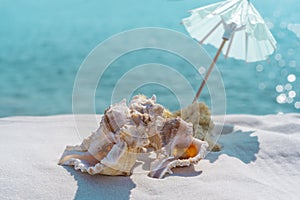 Sea shells and sun umbrella on a white sand and blue water background, space for text. Summer beach. Seashell on the