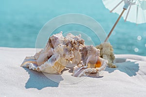 Sea shells and sun umbrella on a white sand and blue water background, space for text. Summer beach. Seashell on the