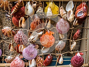 Sea shells tied to rope net - homemade decorations