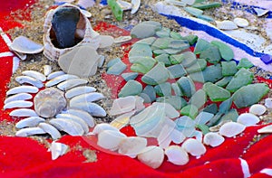 Sea shells - a variety of sea shells from the beach. Shells, sea