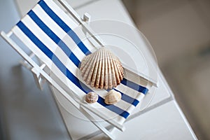 Sea shells of various sizes lie on a little vintage decoration striped beach chair in bathroom, top view