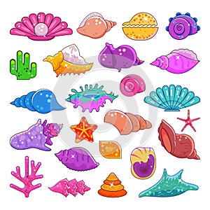 Sea shells vector exotic marine cartoon clam-shell and ocean starfish coralline isolated on white background. Exotic