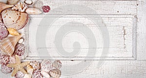 Sea shells on a vintage door