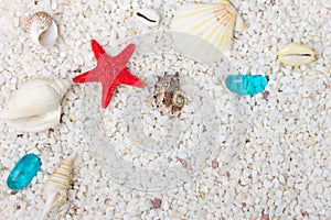 Sea shells with white sand as background