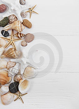 Sea shells on a white wooden table