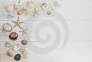 Sea shells on a white wooden table