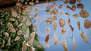 Sea shells wind chime