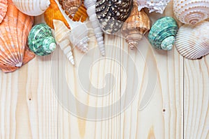 Sea shells on wooden background