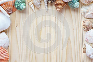 Sea shells on wooden background