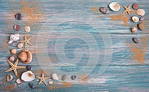 Sea shells on a wooden table