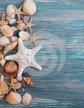 Sea shells on a wooden table