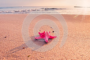 Sea shells with yellow sand and sea