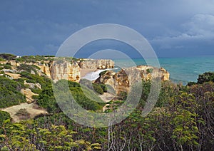 Sea shore with beautiful sandstone cliffs green vagetation photo