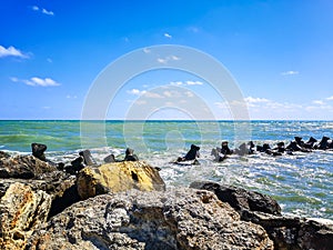 Sea shore with blue water, rocks and mistic summer sky