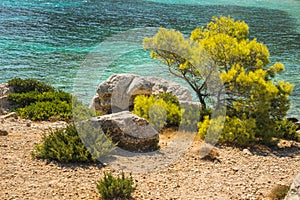 Sea shore of the island Moni, Saronida, Greece