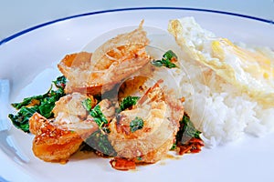 Sea shrimp fried with basil and red chily thailand street food style photo