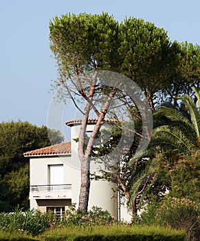 Sea-side villa in Provence