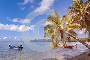 Sea, sky and coconut trees on the beach,Blue sky and sea.