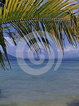 Sea, Sky and Leaves