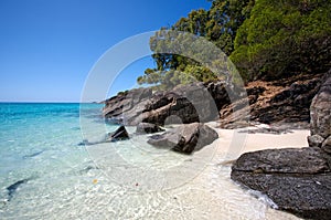 Beach on Whitsunday Island