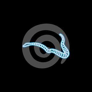 sea snake icon in neon style. One of sea animals collection icon can be used for UI, UX