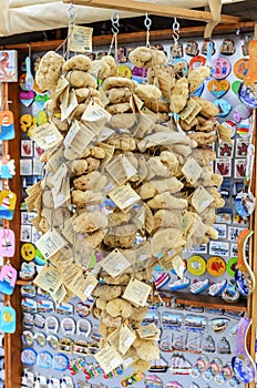 Sea sponge souvenir.