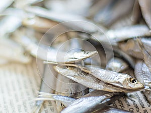 Sea sprat small fish close up on a newspaper, selective focus.