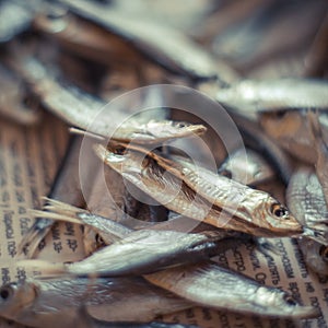 Sea sprat small fish close up on a newspaper, selective focus