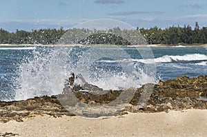 Sea spray flys through the air as waves crash over driftwood