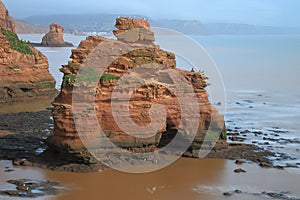 Sea stack in Ladram Bay