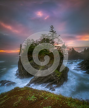 Sea stack with trees of Oregon coast