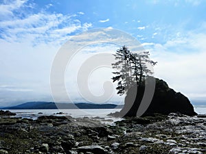 Sea stacks on the beaches of the West coast Trail, Vancouver is