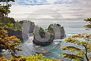 Sea Stacks off of Cape Flattery, Makah Reservation, Olympic National Park, Washington, USA