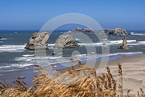 Sea stacks at the Oregon pacific coast during summer time