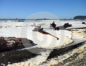 Sea Stacks Oregon, West Coast America, Tourist Attraction