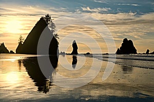 Sea stacks and reflections on sandy beach.