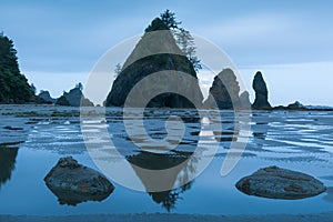 Sea stacks and reflections on sandy beach. Shoreline of Pacific Ocean. Olympic Peninsula. Shi Shi Beach, Washington state USA.