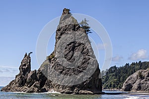 Sea Stacks at Rialto Beach