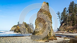 Sea stacks on Ruby Beach