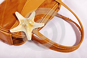 Sea star on a bag