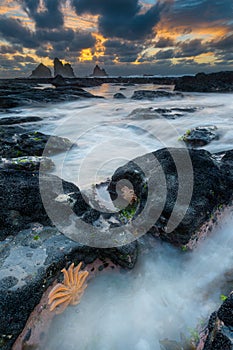 Sea Star Beach