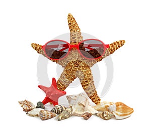 Sea star with glasses