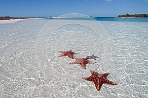 El mar estrella sobre el Paraíso Playa 2 