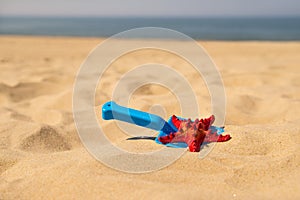 Sea star on a sandy beach