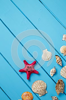 Sea star and shells on wooden blue background.