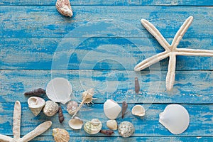 Sea star and shells on wooden blue background. Place for text. T