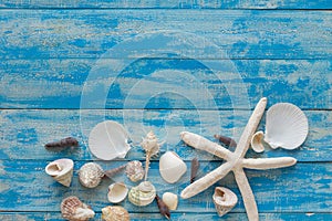 Sea star and shells on wooden blue background. Place for text. T